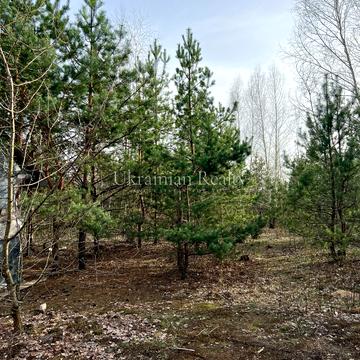 Університетська вул., 1