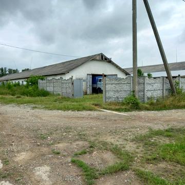 Радча, 32
