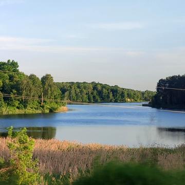 Польова
