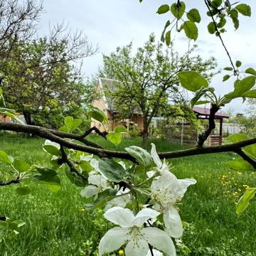 Піщанка, Новомосковський, Дніпропетровська область 10000.0 USD