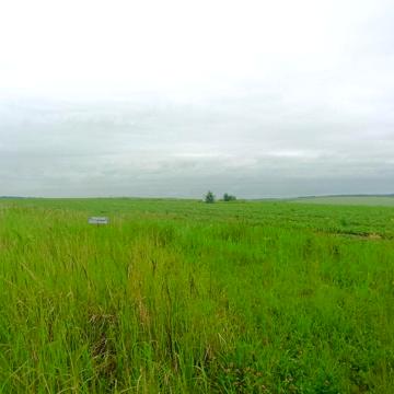 Лісові Гринівці, Хмельницький, Хмельницька область 8500.0 USD