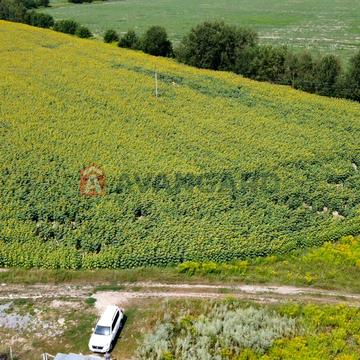 Бориспіль, Бориспільський, Київська область 70000.0 USD