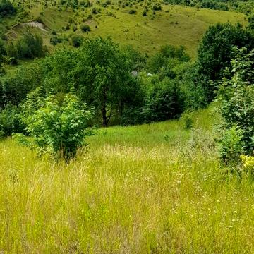 Боднарська, 72