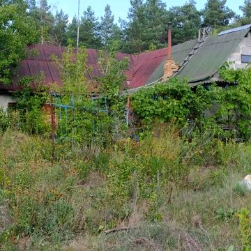 Центральна, 66