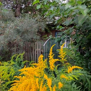 Найкраща вул. (Ломоносова), 22