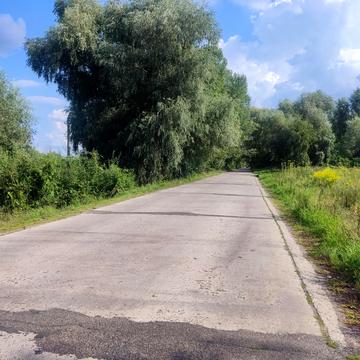 Центральна