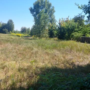 Козин, Обухівський, Київська область 80000.0 USD