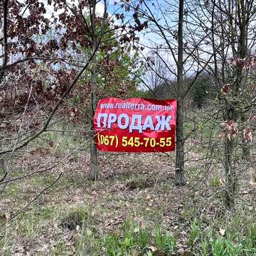 Дзвінкове, Фастівський, Київська область 10000.0 USD