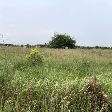 Софіївська борщагівка, Бучанський, Київська область 55000.0 USD