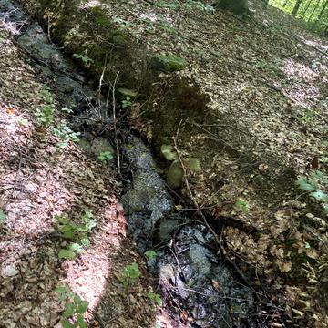 Лумшори, Ужгородський, Закарпатська область 100000.0 USD