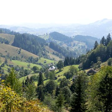 Верховина, Верховинський, Івано-Франківська область 280000.0 USD