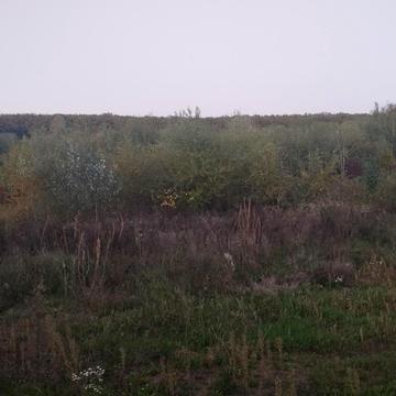 Ужгород, Закарпатська область 40000.0 USD