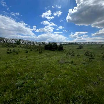 Горбовичі, Бучанський, Київська область 55200.0 USD