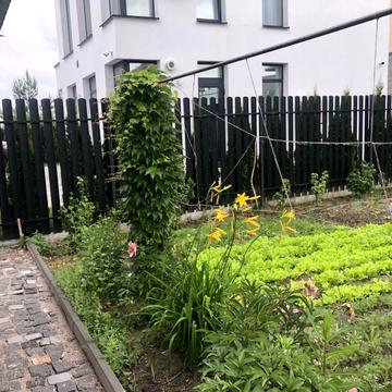 Софіївська борщагівка, Бучанський, Київська область 219000.0 USD