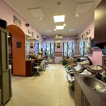 Григорія Сковороди вул. (Пушкінська), 92/1