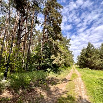 Блиставиця, Бучанський, Київська область 25000.0 USD
