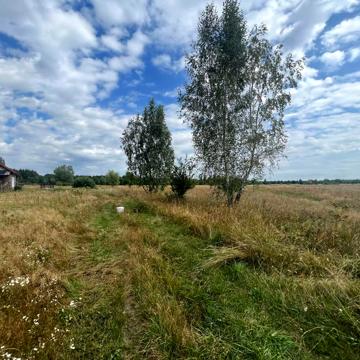 Козинці, Бучанський, Київська область 4500.0 USD