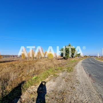 Калинівка, Фастівський, Київська область 210000.0 USD