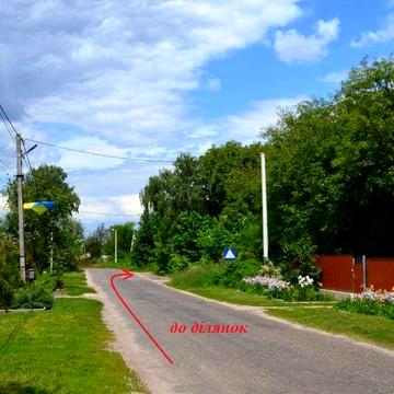 рильського, 8
