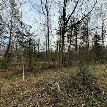 Ніжиловичі, Бучанський, Київська область 30000.0 USD