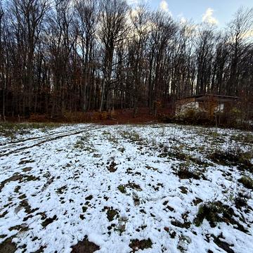 Оріховське озеро