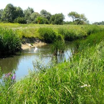 братів гуріних, 4