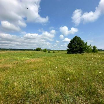 Димер, Вишгородський, Київська область 8900.0 USD