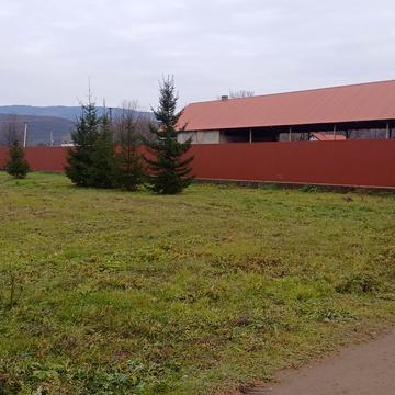 Невицьке, Ужгородський, Закарпатська область 419000.0 USD