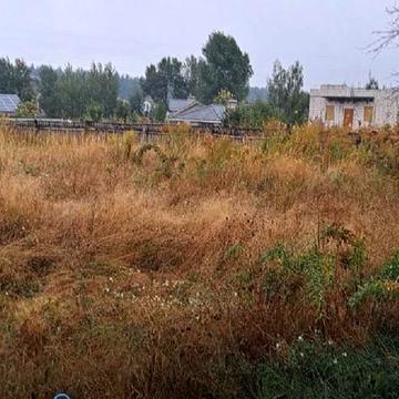 Березівка, Бучанський, Київська область 30000.0 USD