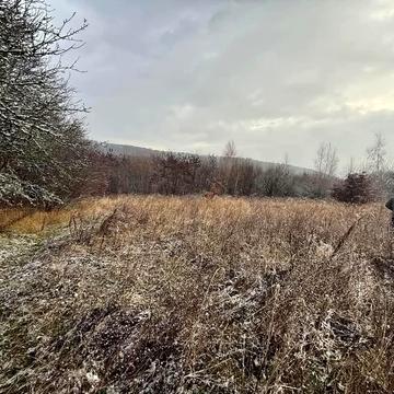 Гута, Ужгородський, Закарпатська область 12000.0 USD