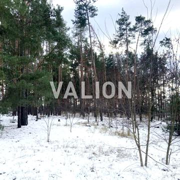 Лебедівка, Вишгородський, Київська область 100000.0 USD