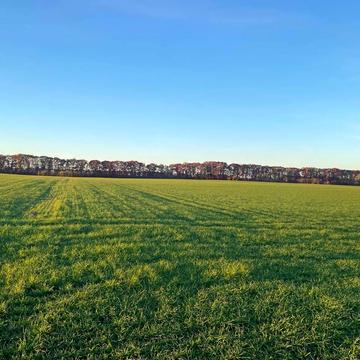 Широка гребля, Вінницький, Вінницька область 21000.0 USD