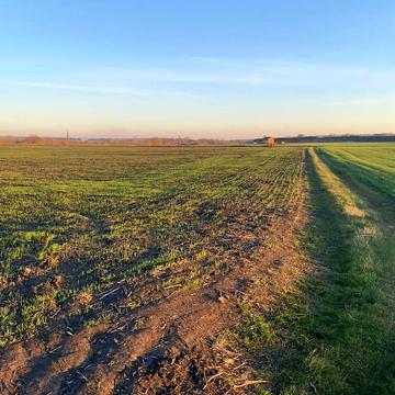 Ільківка, Вінницький, Вінницька область 21000.0 USD