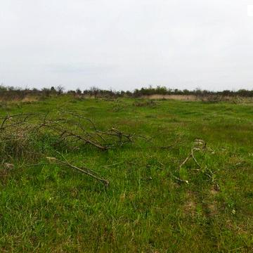 северная