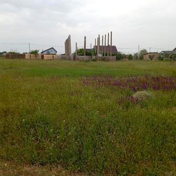 виноградная