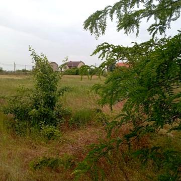 Олександрівка, Одеський, Одеська область 9000.0 USD