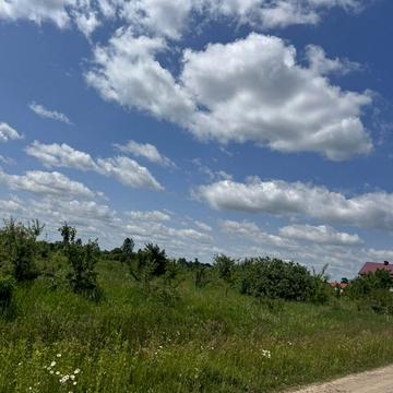 Бандери