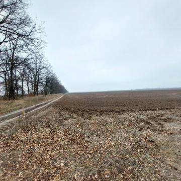 Сільська рада, Білогородка, Бучанський, Київська область 110000.0 USD