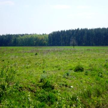 Березівка, Бучанський, Київська область 200000.0 USD