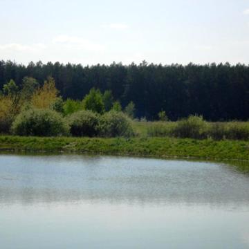 Березівка, Бучанський, Київська область 2200000.0 USD