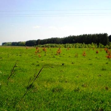 Березівка, Бучанський, Київська область 20000.0 USD