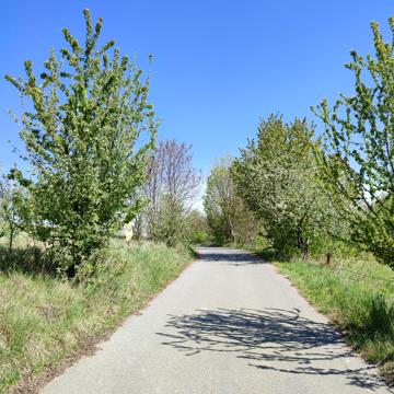 Зарванці, Вінницький, Вінницька область 12000.0 USD