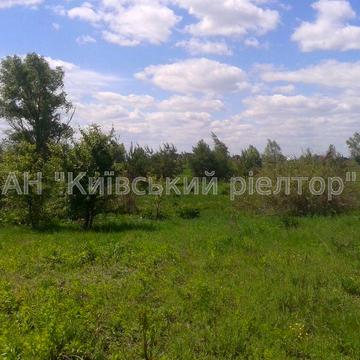 Рожни, Броварський, Київська область 10000.0 USD
