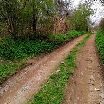 Холодна вул.