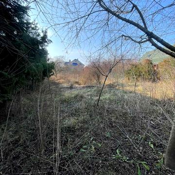 Французька