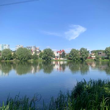 Берегова