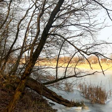 Переяслав, Бориспільський, Київська область 14000.0 USD