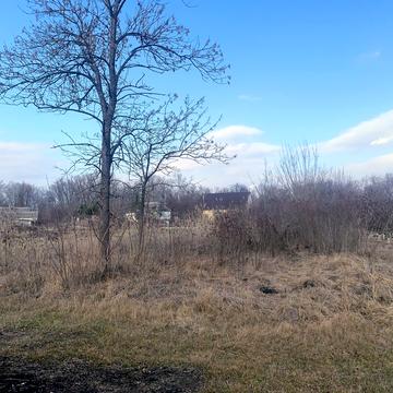 Лірницька вул. (Сільрадська)