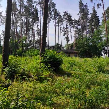 Котляревського