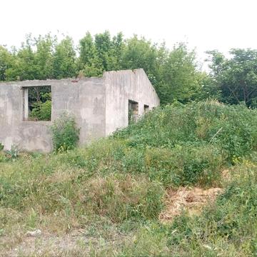Фонтанка, Одеський, Одеська область 70000.0 USD